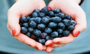 hands carrying blueberry