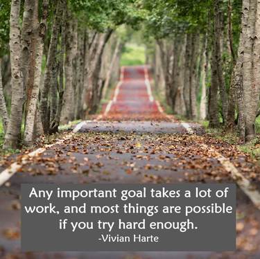 Any important goal takes a lot of work, and most things are possible if you try hard enough.