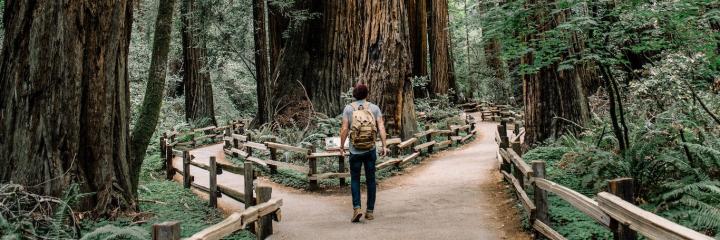 man wearing back bag stands between two paths deciding way to go