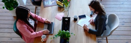 two women sit in co working office working studying beside fresh fruit plate plant pot coffee mug