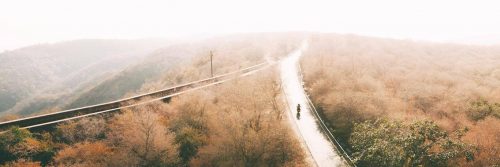 road cutting forest in foggy sunny sky