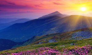 beautiful sunny colorful sky shining mountain purple flower