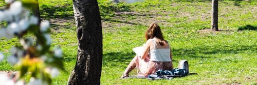 woman sits facing backward on green grass writing sunbathing in sunny sky