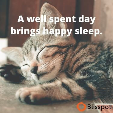 A Happy Sleep