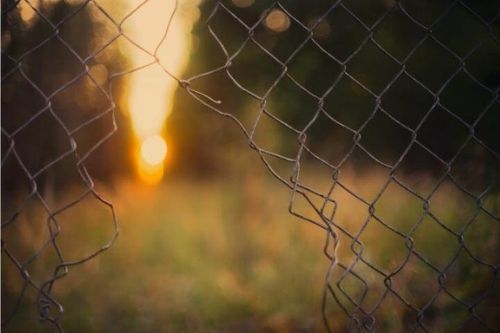 fence, hole, sun