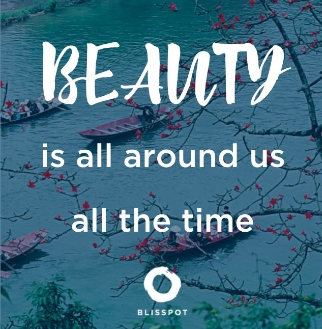 Beauty is all around us all the time.