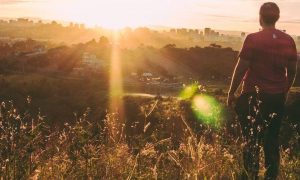 man facing backward stands on field looking at sunny sky