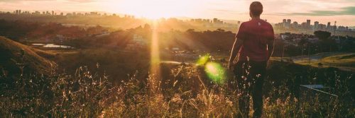 man facing backward stands on field looking at sunny sky