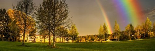 field rainbow