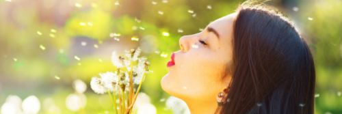 Beautiful young woman blowing dandelions and smiling