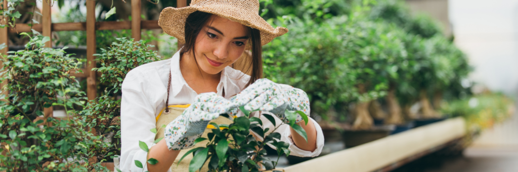 Pretty female gardener taking care of plants in her flowers and plants shop - Asian woman working in a greenhouse