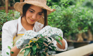 Pretty female gardener taking care of plants in her flowers and plants shop - Asian woman working in a greenhouse