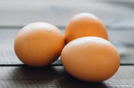 The eggs